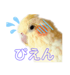 我が家のかわいんこ3（個別スタンプ：17）