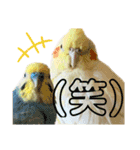 我が家のかわいんこ3（個別スタンプ：21）