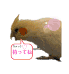我が家のかわいんこ3（個別スタンプ：22）