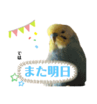 我が家のかわいんこ3（個別スタンプ：24）