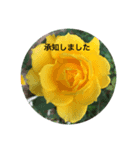 綺麗なバラのスタンプ（個別スタンプ：8）