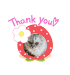 かわいいぽこちゃん❤️（個別スタンプ：2）