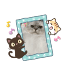 かわいいぽこちゃん❤️（個別スタンプ：5）