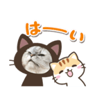 かわいいぽこちゃん❤️（個別スタンプ：8）