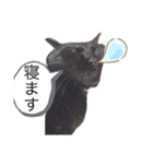 黒猫ななこ（個別スタンプ：4）