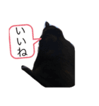 黒猫ななこ（個別スタンプ：7）