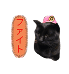 黒猫ななこ（個別スタンプ：12）