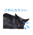 黒猫ななこ（個別スタンプ：15）