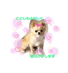 やんちゃなししまるNo2（個別スタンプ：14）