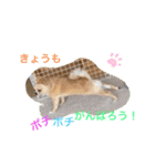 やんちゃなししまるNo2（個別スタンプ：24）