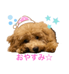 カトりんの日常♪（個別スタンプ：8）