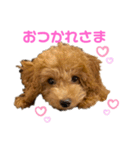 カトりんの日常♪（個別スタンプ：10）