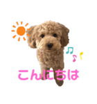 カトりんの日常♪（個別スタンプ：15）