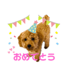 カトりんの日常♪（個別スタンプ：17）