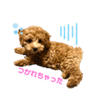 カトりんの日常♪（個別スタンプ：21）