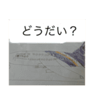 絵文字ぽいスタンプ2（個別スタンプ：10）