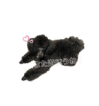 くろぷーとねこ（個別スタンプ：6）