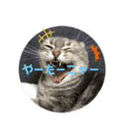 ワタシスタンプ①（個別スタンプ：1）
