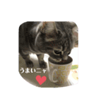 ワタシスタンプ①（個別スタンプ：12）