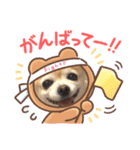 チワワのジェスくん（個別スタンプ：11）