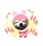 チワワのジェスくん（個別スタンプ：16）