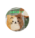 パンスタンプ2（個別スタンプ：1）