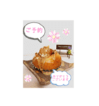 パンスタンプ2（個別スタンプ：5）