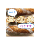 パンスタンプ2（個別スタンプ：16）