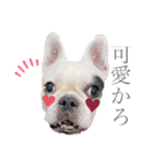 よもちゃんふぁみりー（個別スタンプ：1）