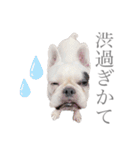 よもちゃんふぁみりー（個別スタンプ：2）