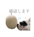 よもちゃんふぁみりー（個別スタンプ：3）