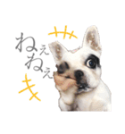 よもちゃんふぁみりー（個別スタンプ：6）