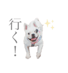 よもちゃんふぁみりー（個別スタンプ：8）