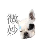 よもちゃんふぁみりー（個別スタンプ：9）