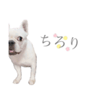 よもちゃんふぁみりー（個別スタンプ：10）