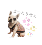 よもちゃんふぁみりー（個別スタンプ：13）