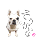 よもちゃんふぁみりー（個別スタンプ：18）