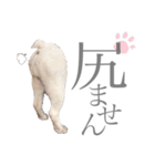 よもちゃんふぁみりー（個別スタンプ：20）