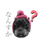 よもちゃんふぁみりー（個別スタンプ：23）