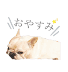 よもちゃんふぁみりー（個別スタンプ：28）