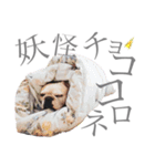 よもちゃんふぁみりー（個別スタンプ：30）