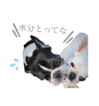 よもちゃんふぁみりー（個別スタンプ：32）
