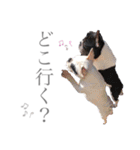 よもちゃんふぁみりー（個別スタンプ：34）