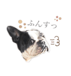 よもちゃんふぁみりー（個別スタンプ：37）