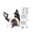 よもちゃんふぁみりー（個別スタンプ：38）