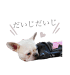 よもちゃんふぁみりー（個別スタンプ：40）