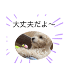 かねねんのうめ吉くん（個別スタンプ：6）