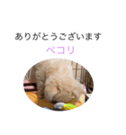 かねねんのうめ吉くん（個別スタンプ：8）