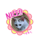 しょうちゃんちのおよめさんのもずくちゃん（個別スタンプ：1）