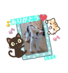 しょうちゃんちのおよめさんのもずくちゃん（個別スタンプ：5）